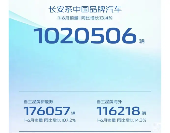 包含SEC遭遇大幅下滑超385%，投资者恐慌性抛售的词条-开云APP