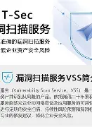 包含SEC突发安全漏洞，丢失金额高达25.26万美元的词条